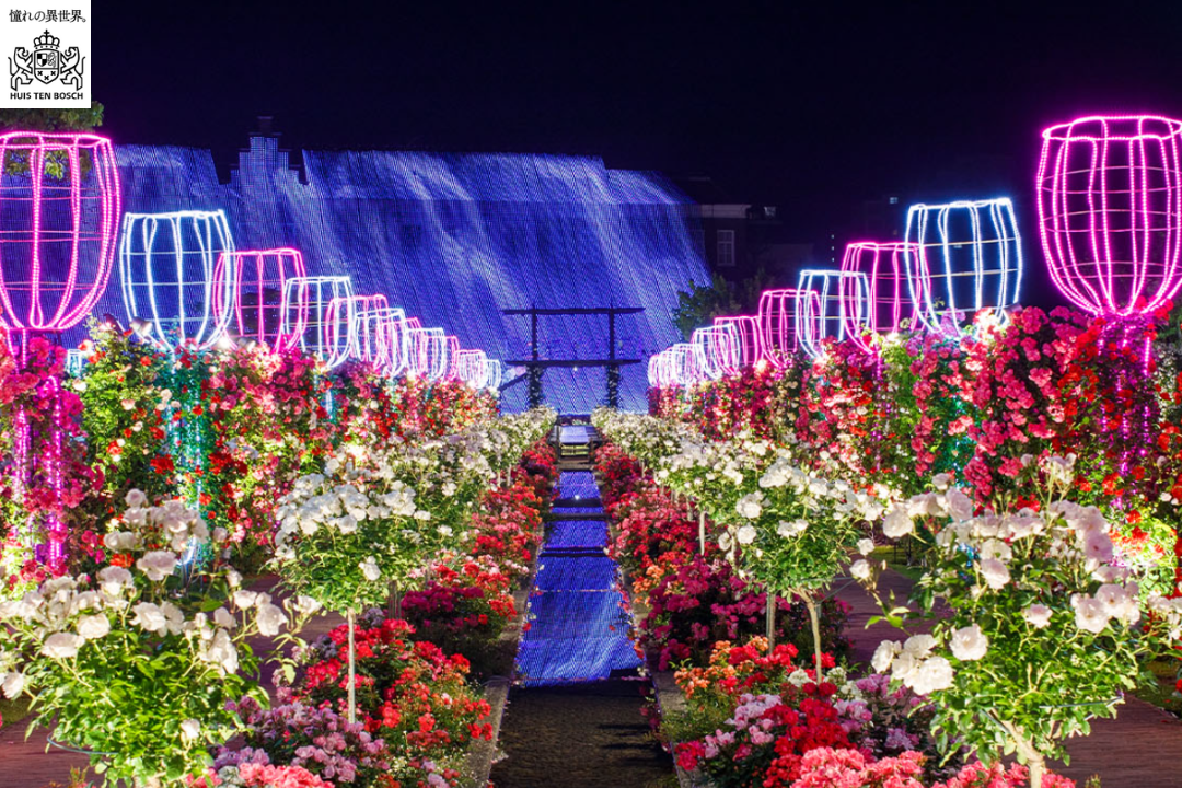 ハウステンボスの冬イルミネーションの料金と期間を解説する記事のアイキャッチ画像