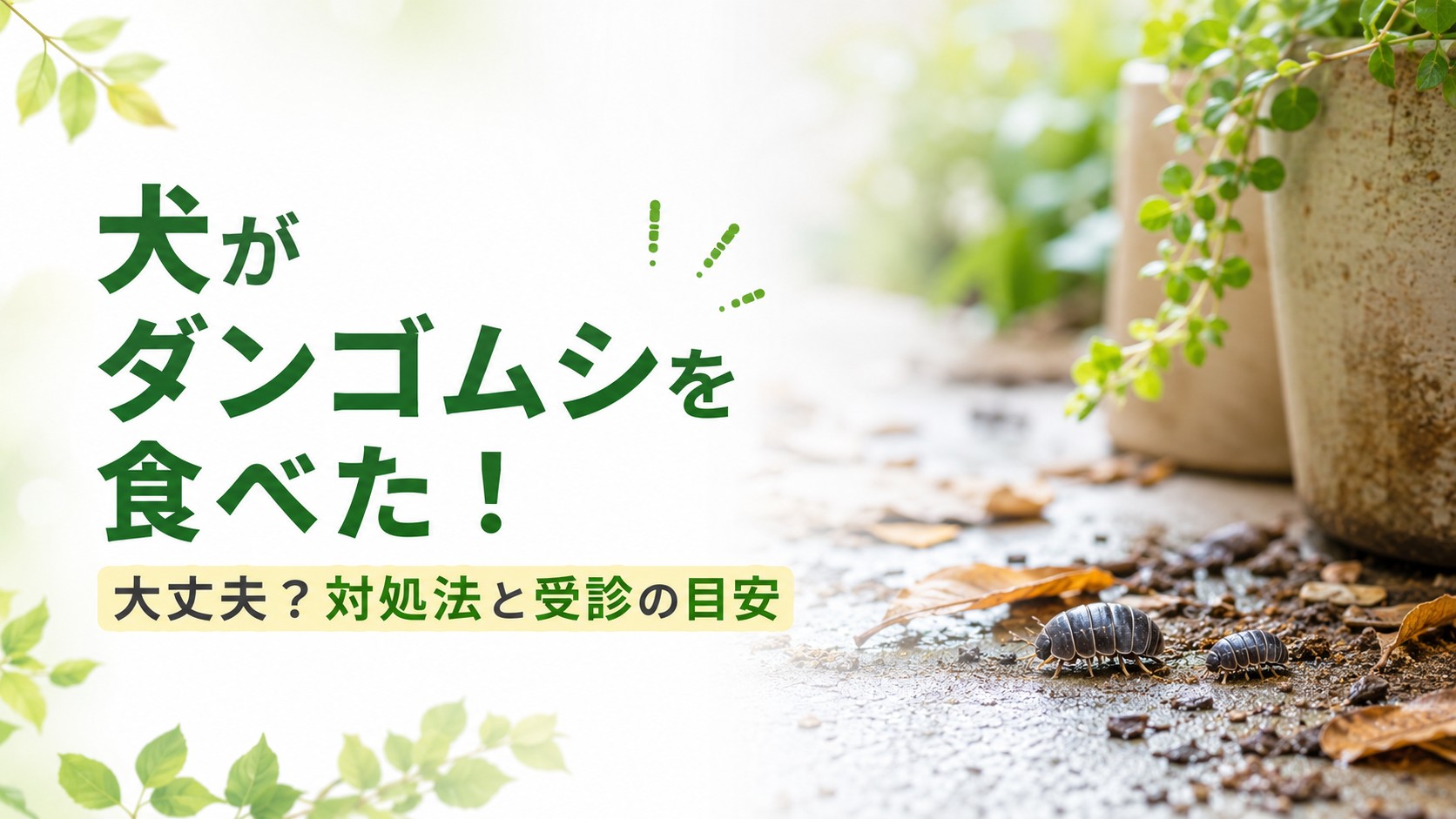 犬がダンゴムシを食べたときの対処法と受診の目安を示すアイキャッチ画像